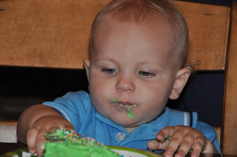 William's 2nd 1st Birthday Party 319.jpg